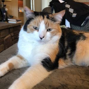 Meet your Posher, Barbara